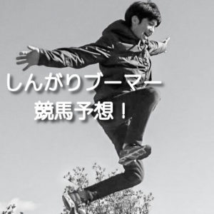無料メルマガ 馬券のセオリー しんがりブーマー 競馬予想
